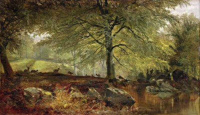 Deer in a Wood by Joseph Denovan Adam